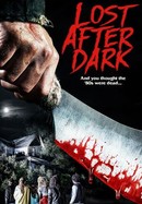 Lost After Dark poster image