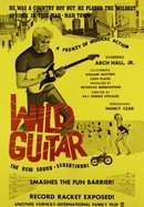 Wild Guitar poster image