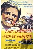 The Indian Fighter poster image