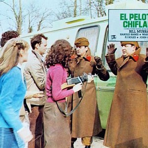 STRIPES, (aka EL PELOTON CHIFLADO), P.J. Soles (left front), Harold Ramis (left rear), Sean Young (center front), Bill Murray (center rear), hands up from left: Joe Flaherty, Nick Toth, 1981, © Columbia
