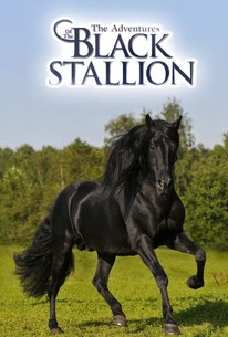 The Adventures of the Black Stallion: Season 3, Episode 21 - Rotten ...