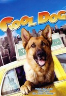 Cool Dog poster image