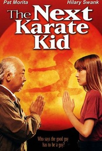 The Next Karate Kid poster