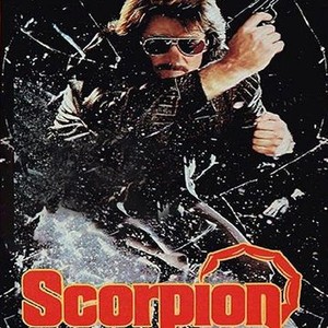 Scorpion photo 2