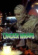Under Wraps poster image