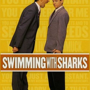 Swimming With Sharks photo 2