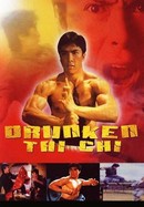 Drunken Tai Chi poster image