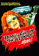 Don't Go in the Woods poster image