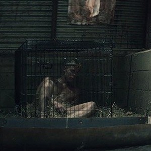 A scene from "The Farm." photo 4
