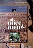 Of Mice and Men poster image