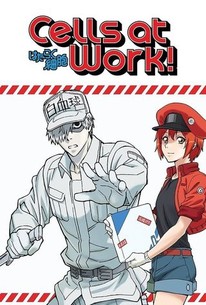 Characters appearing in Cells at Work! Lady Manga