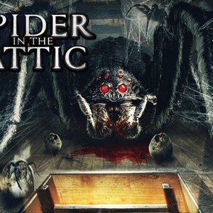 Spider in the Attic - Rotten Tomatoes