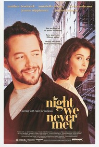 The Night We Never Met poster