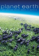 Planet Earth poster image