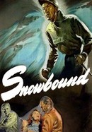 Snowbound poster image