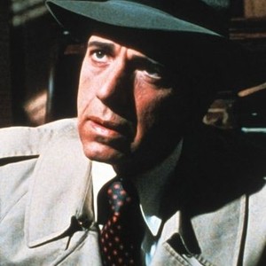 The Man With Bogart's Face (1980) photo 4