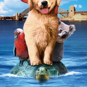 Napoleon photo 5