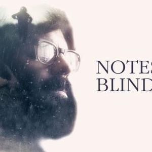 Notes on Blindness photo 10
