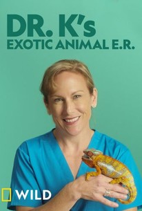 Dr. K's Exotic Animal ER poster image