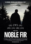 Noble Fir poster image