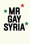 Mr. Gay Syria poster image