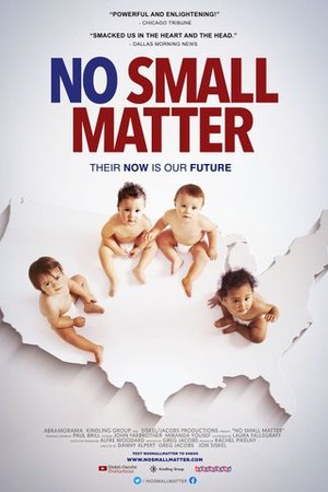 No Small Matter poster