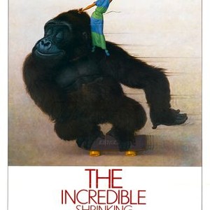 The Incredible Shrinking Woman (1981) photo 14