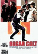 Sugar Colt poster image