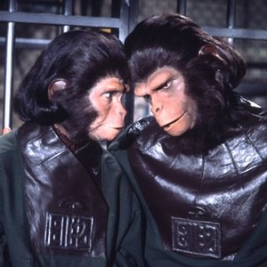 Escape From the Planet of the Apes (1971) photo 8