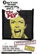 The Fly poster image