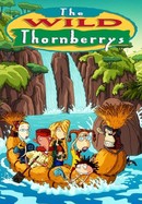 The Wild Thornberrys poster image