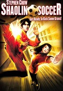 Shaolin Soccer poster image