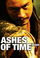 Ashes of Time Redux poster image