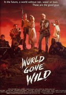 World Gone Wild poster image