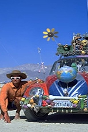 その他 Wild Wheels By Harrod Blank [DVD] True Films: Wild Wheels