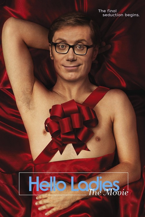 Hello Ladies: The Movie poster