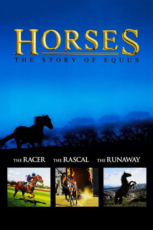 Horses: The Story of Equus poster