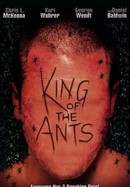 King of the Ants poster image