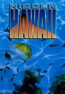Hidden Hawaii poster image
