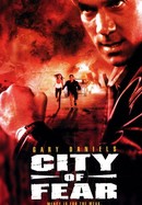 City of Fear poster image