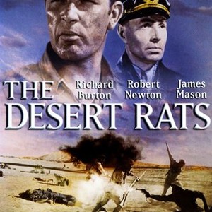 The Desert Rats photo 17