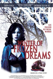 Poster for Winter of Frozen Dreams