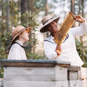 Dakota Fanning as Lily and Queen Latifah as August in "The Secret Life of Bees." photo 5