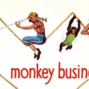 Monkey Business photo 4