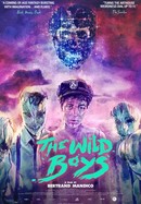 The Wild Boys poster image