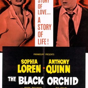 The Black Orchid (1959) photo 13