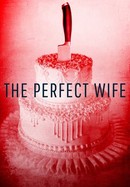The Perfect Wife poster image