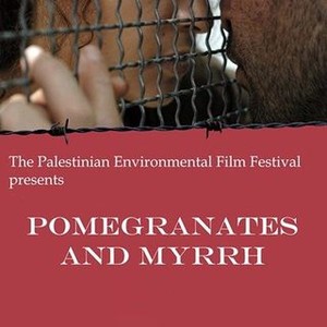 Pomegranates and Myrrh (2008) photo 9