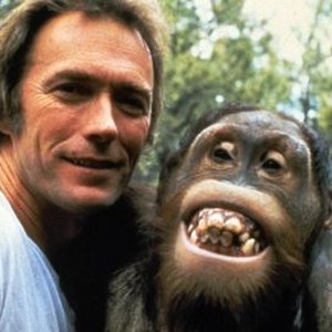 Every Which Way But Loose (1978) photo 4