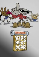 Codename: Kids Next Door poster image